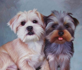 blue-cold background