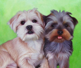 green-warm background